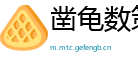 凿龟数策网